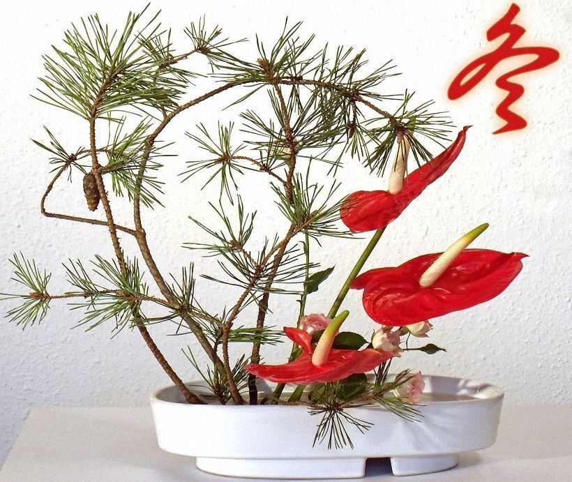 Икебана "Зима" своими руками из природного материала с фото