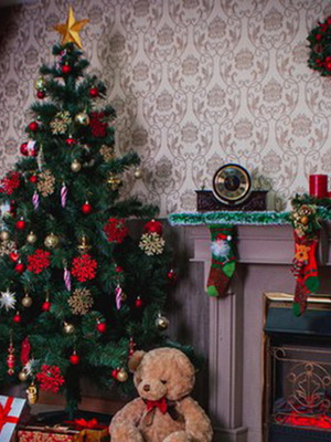 Идеи для Новогодней фотосессии для семьи и влюбленных