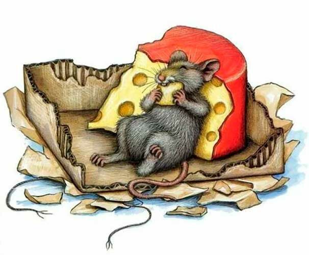 Аппликация мыши: шаблоны для вырезания, мышка из геометрических фигур с мышатами, мышонок из цветной бумаги с сыром для малышей детского сада и школы