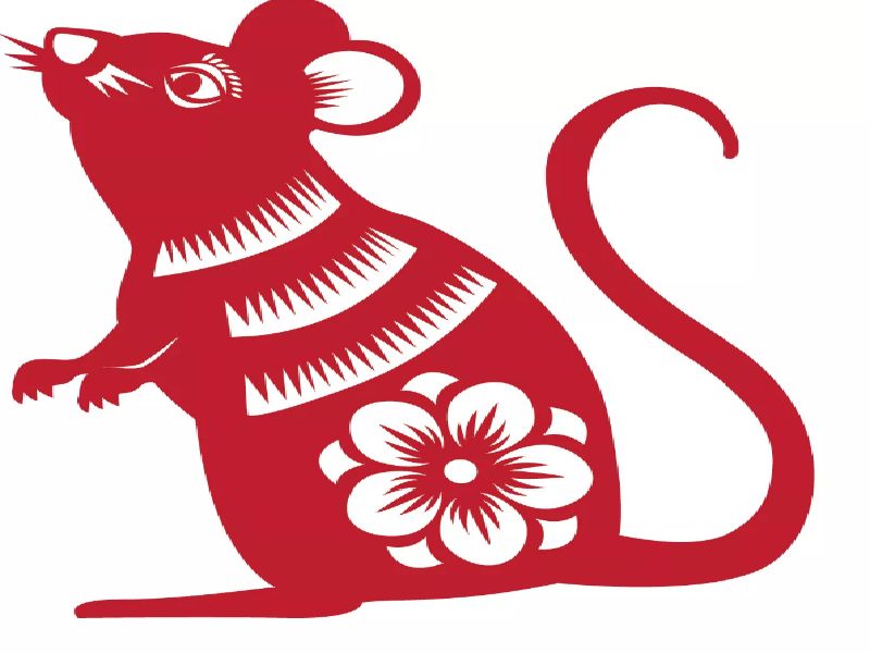 Аппликация мыши: шаблоны для вырезания, мышка из геометрических фигур с мышатами, мышонок из цветной бумаги с сыром для малышей детского сада и школы