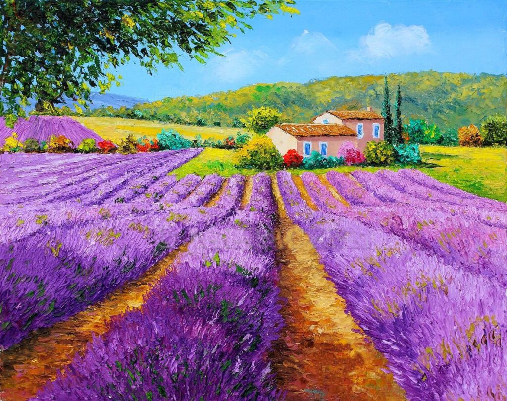 Красивое лавандовое поле