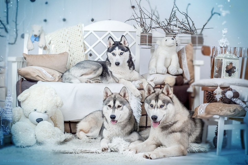 Как украсить дом к Новому году 2023 своими руками — 95 креативных идей (фото и видео)