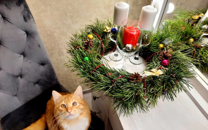 Новогодние композиции своими руками : идеи, фото 2023 года