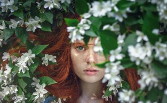 именины надежды