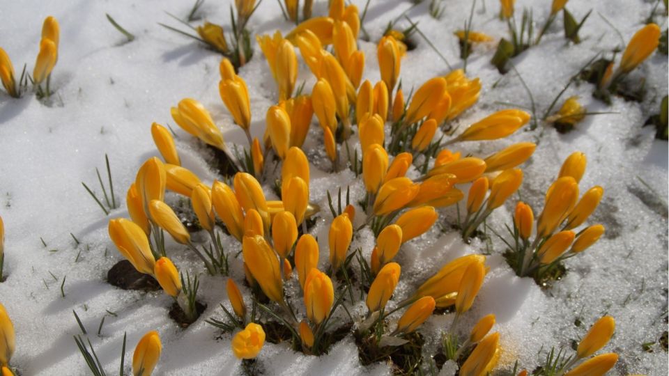 Народные приметы и поверья 29 октября – 4 ноября